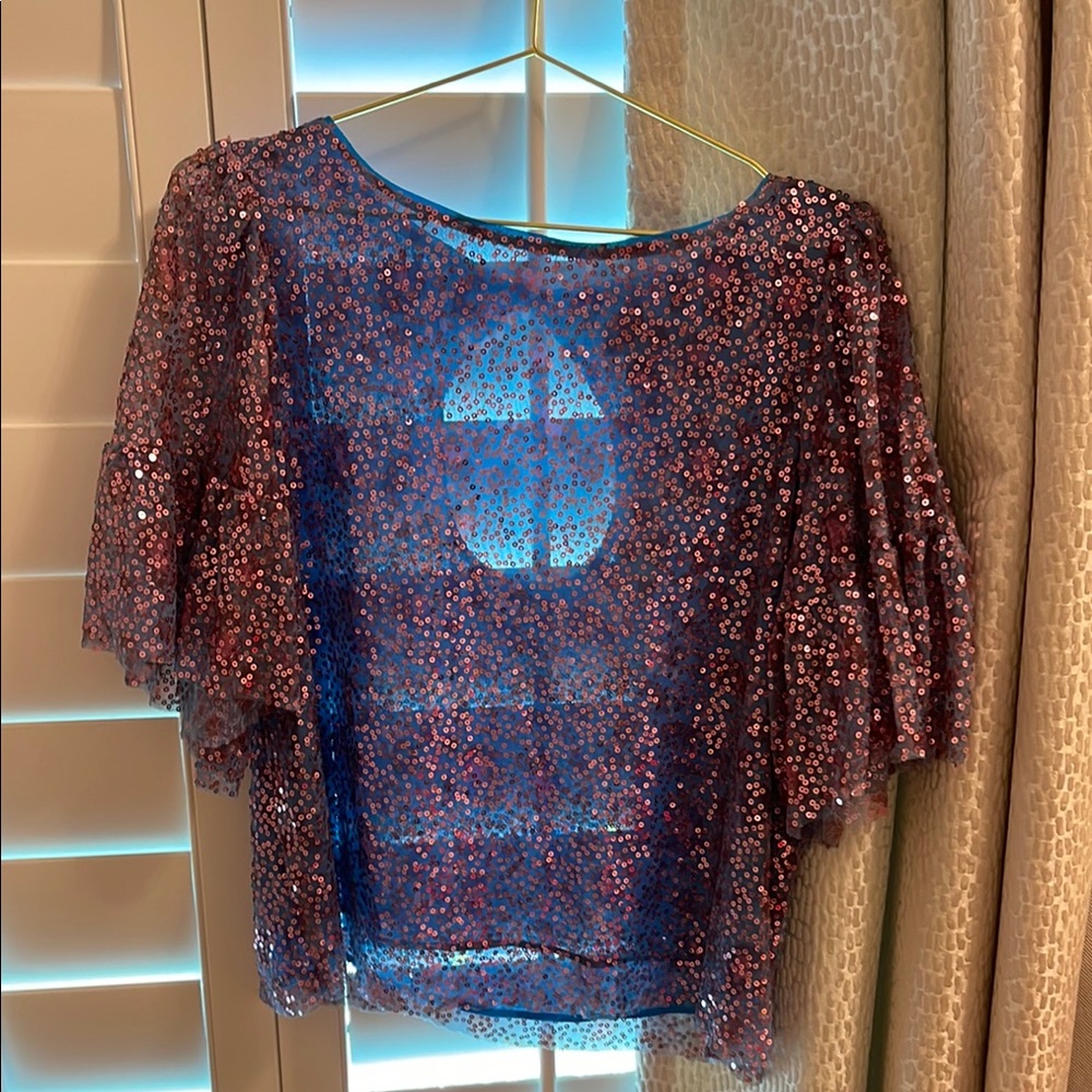 Anthropologie Sequin Blouse - Pink and Blue